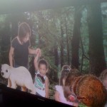 IMG_0524 IMG_0524